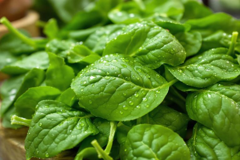 Ce légume est en réalité le plus contaminé par les pesticides.jpg