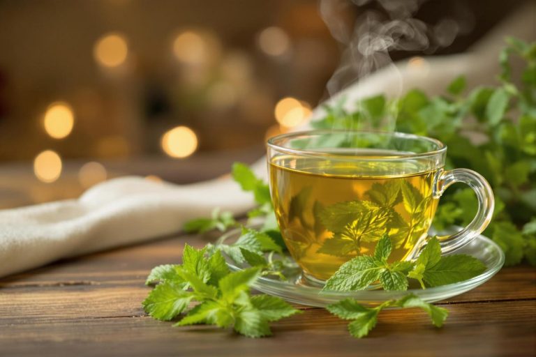 Cette herbe aromatique permettrait de s'endormir en moins de 30 minutes selon la Science.jpg
