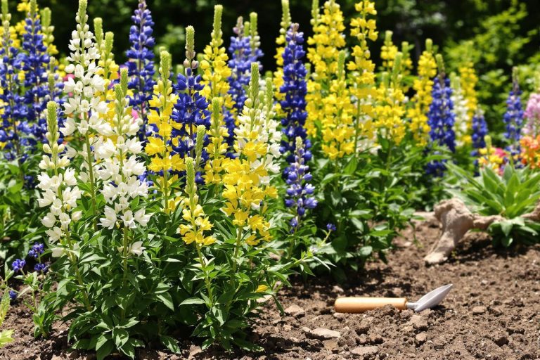 Ce légume méconnu enrichit la terre comme aucun engrais : des jardiniers bio l’utilisent depuis des générations pour un sol fertile.jpg