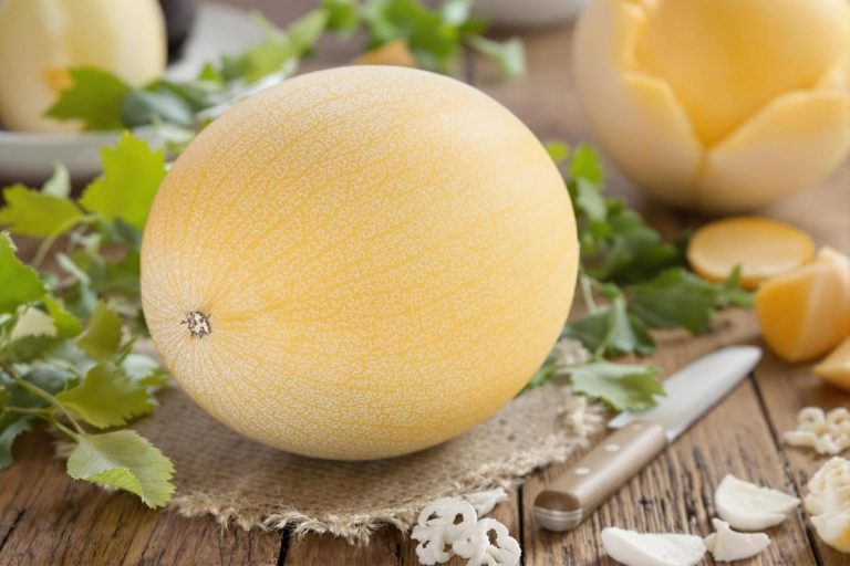 L'astuce d'une productrice de melon pour choisir un fruit bien mûr et parfumé.jpg